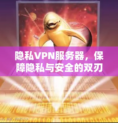隐私VPN服务器,保障隐私与安全的双刃剑