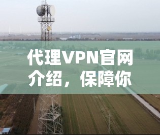 代理VPN官网介绍，保障你的网络安全