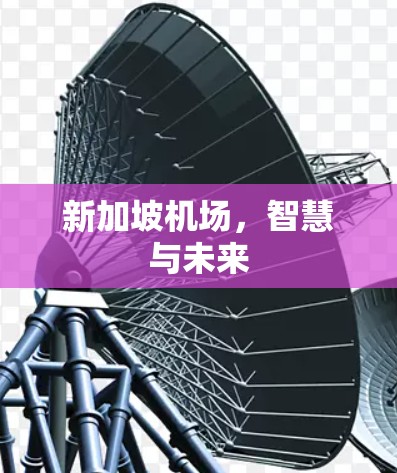 新加坡机场,智慧与未来