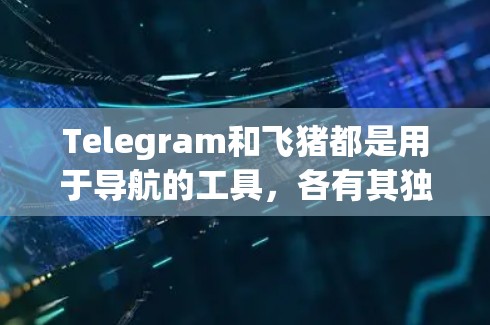 Telegram和飞猪都是用于导航的工具,各有其独特的功能和用户体验,结合机场实时信息有助于更准确的行程规划。以下是详细的总结