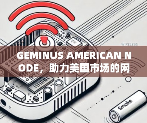 GEMINUS AMERICAN NODE,助力美国市场的网络基础设施