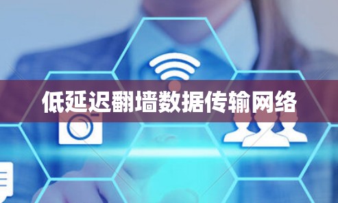 低延迟翻墙数据传输网络