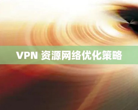 VPN 资源网络优化策略