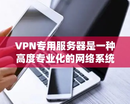 VPN专用服务器是一种高度专业化的网络系统，主要用于管理和控制VPN连接。以下是关于该领域的详细总结