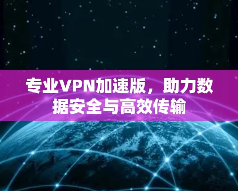 专业VPN加速版,助力数据安全与高效传输
