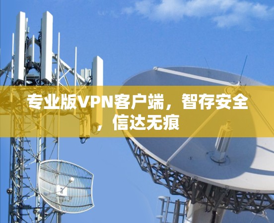 专业版<strong>VPN客户端</strong>，智存安全，信达无痕