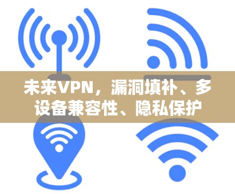 未来VPN,漏洞填补、多设备兼容性、隐私保护