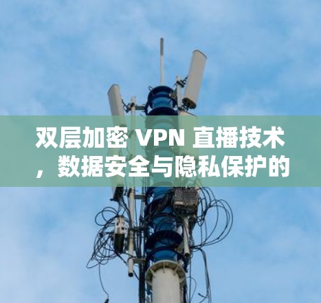 双层加密 VPN 直播技术,数据安全与隐私保护的完美结合