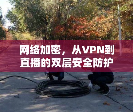 网络加密,从VPN到直播的双层安全防护