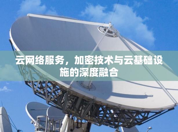 云网络服务,加密技术与云基础设施的深度融合