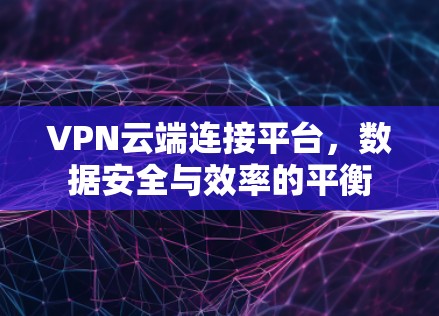 VPN云端连接平台,数据安全与效率的平衡