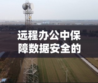 远程办公中保障数据安全的VPN解决方案