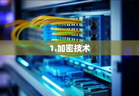 1.加密技术