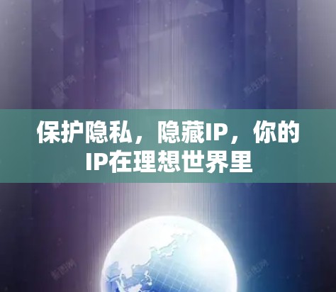 保护隐私,隐藏IP,你的IP在理想世界里