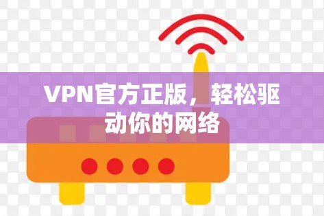 VPN官方正版，轻松驱动你的网络