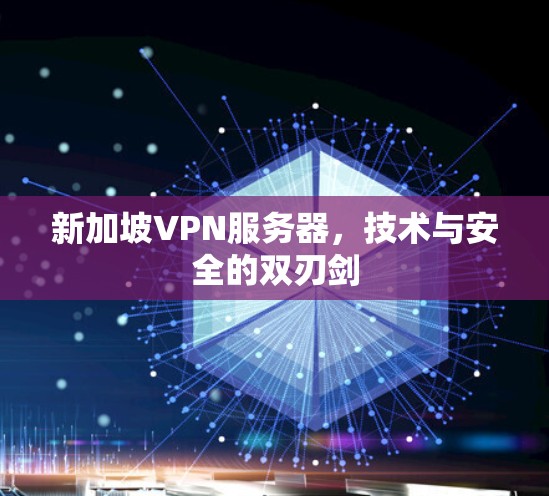 新加坡VPN服务器，技术与安全的双刃剑