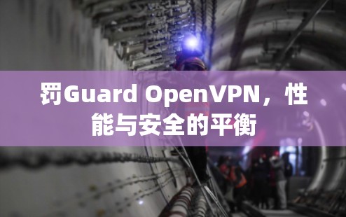 罚Guard OpenVPN，性能与安全的平衡