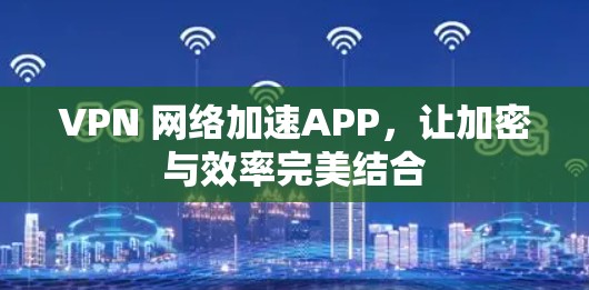 VPN 网络加速APP,让加密与效率完美结合