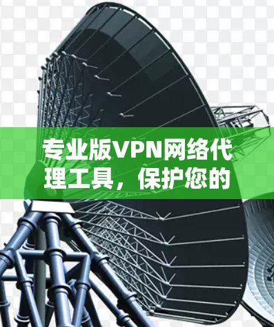 专业版VPN网络代理工具,保护您的网络隐私与安全