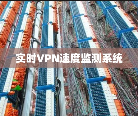 实时VPN速度监测系统
