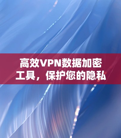 高效VPN数据加密工具,保护您的隐私与安全