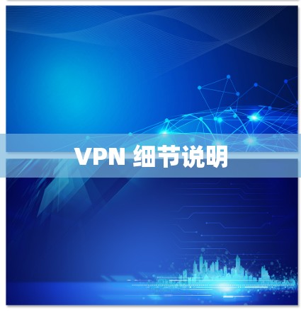 VPN 细节说明