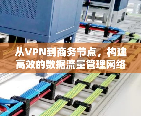 从VPN到商务节点，构建高效的数据流量管理网络
