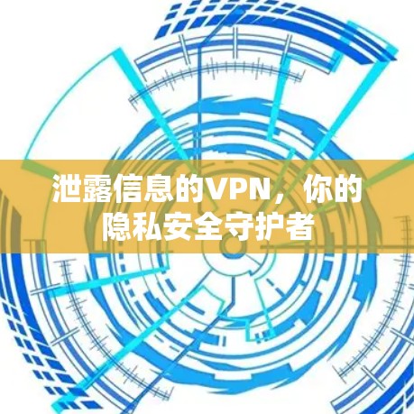 泄露信息的VPN,你的隐私安全守护者