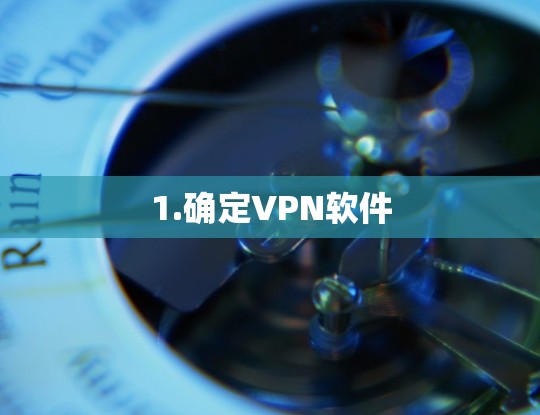 1.确定VPN软件