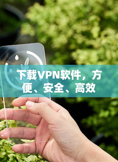 下载VPN软件，方便、安全、高效