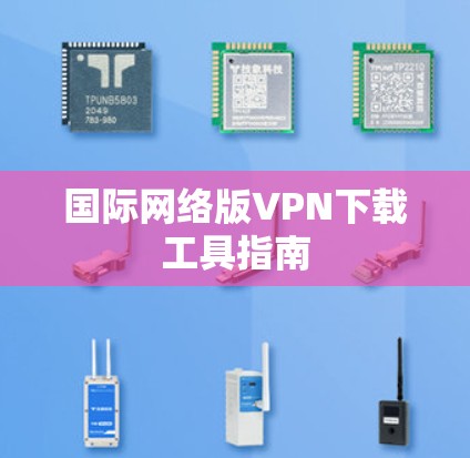 国际网络版VPN下载工具指南