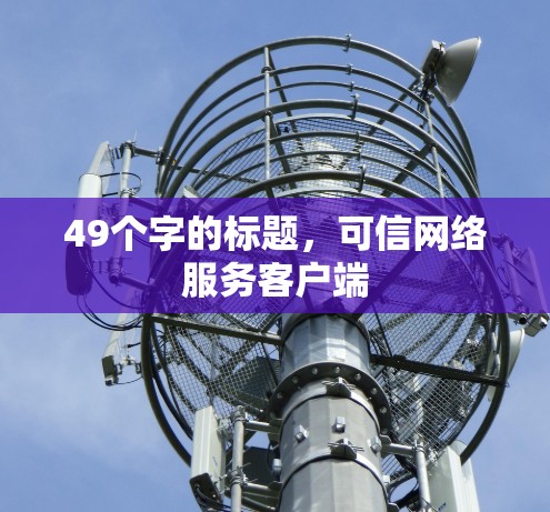 49个字的标题,可信网络服务客户端