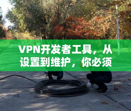 VPN开发者工具,从设置到维护,你必须知道的陷阱