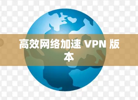 高效网络加速 VPN 版本