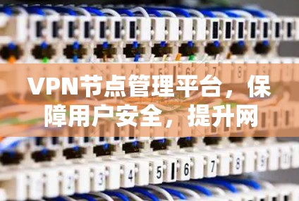 VPN节点管理平台,保障用户安全,提升网络稳定