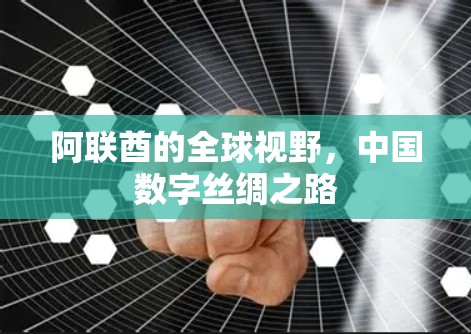 阿联酋的全球视野,中国数字丝绸之路