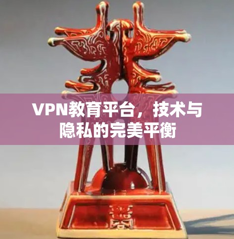 VPN教育平台,技术与隐私的完美平衡