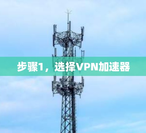 步骤1,选择VPN加速器