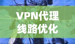 VPN代理线路优化是一个系统工程，需要从多个方面入手，以确保VPN的高效和安全运行。以下是一个结构化的优化流程指南，涵盖从评估到监控的关键步骤